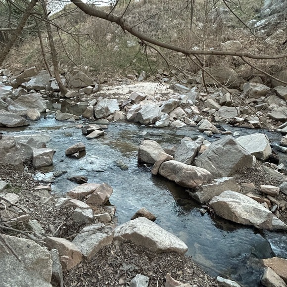 Meet your Posher, Lexi - Picture 1 of 1